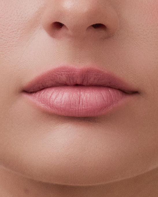 Tinted Lip Balm